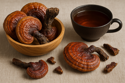 Wild Siberian Dried Reishi Whole