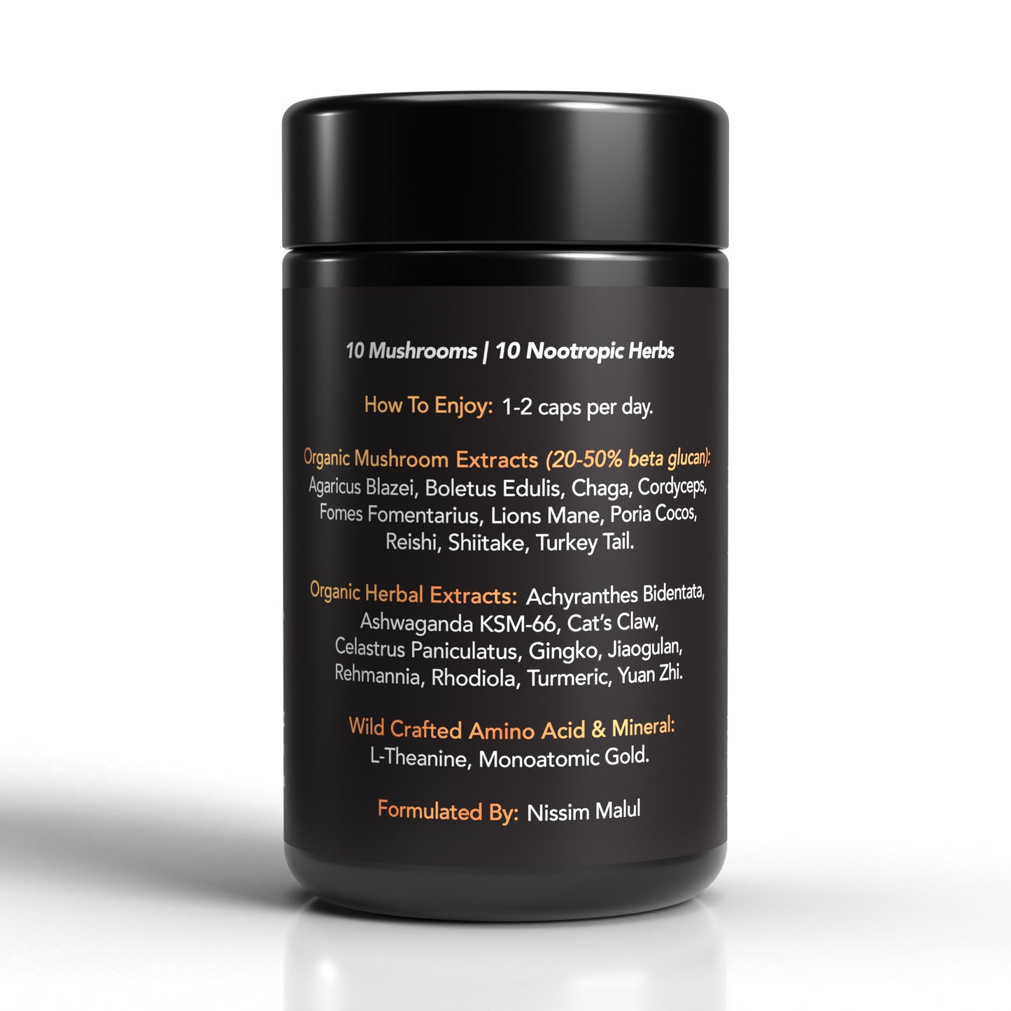 Neuro Support - Mood & Focus (Lion's Mane Plus)