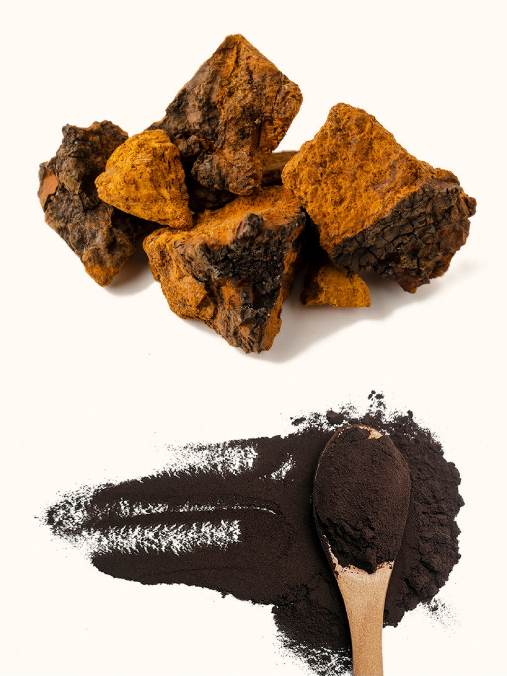 Wild Siberian Dried Chaga Pieces