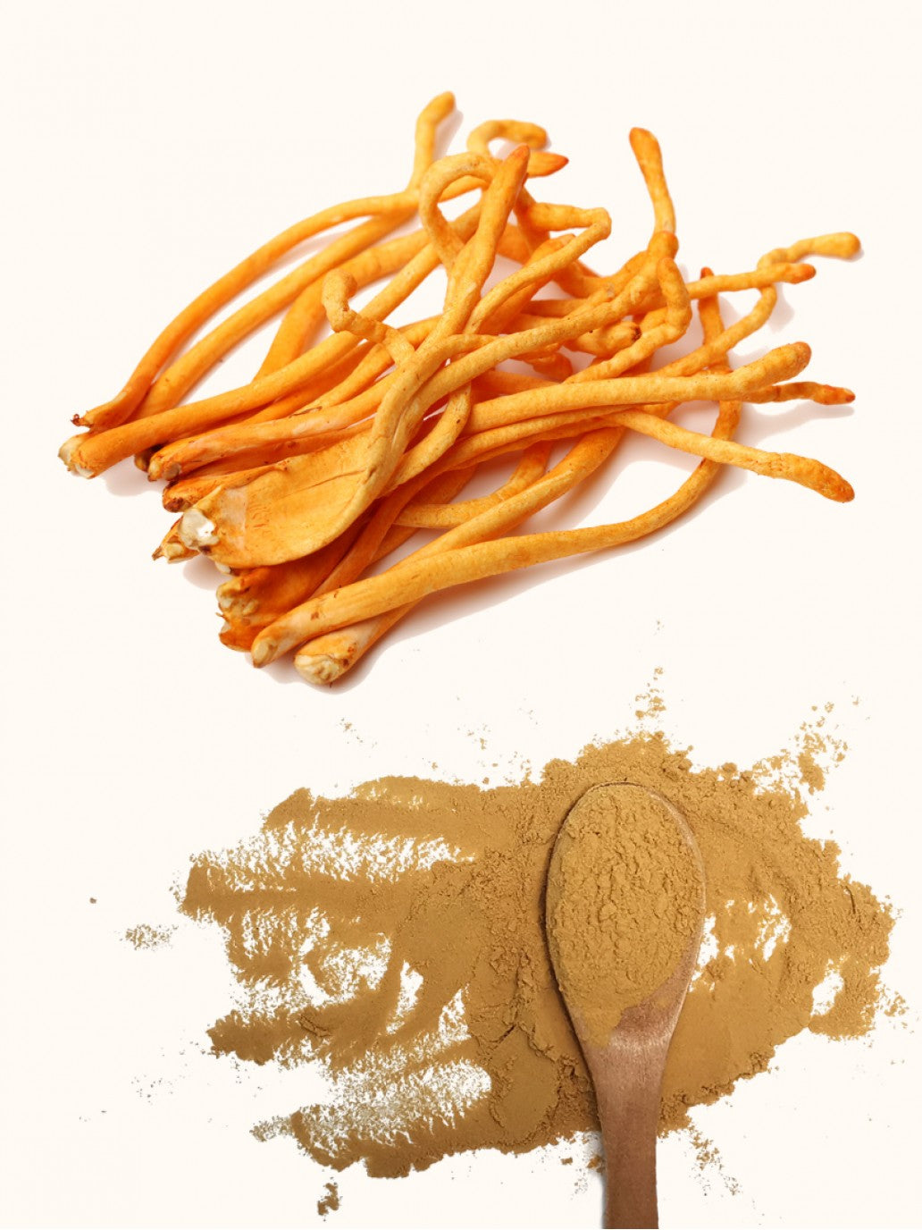 Organic Cordyceps 30% Beta Glucans, Fruiting Body