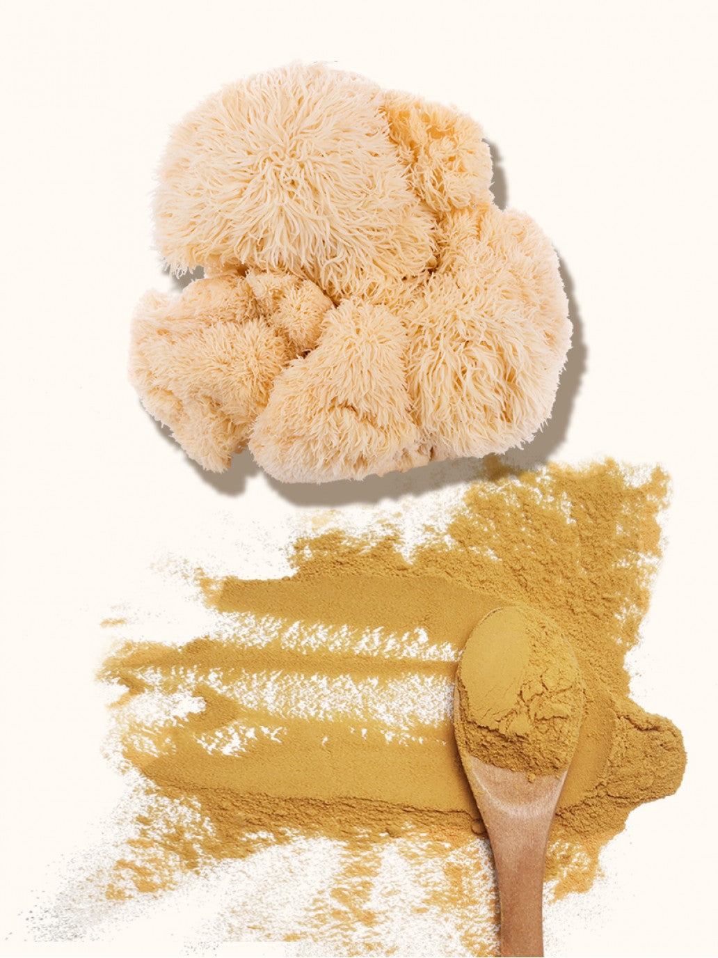 Organic Lion's Mane Mushroom 30% Beta Glucans, Fruiting Body