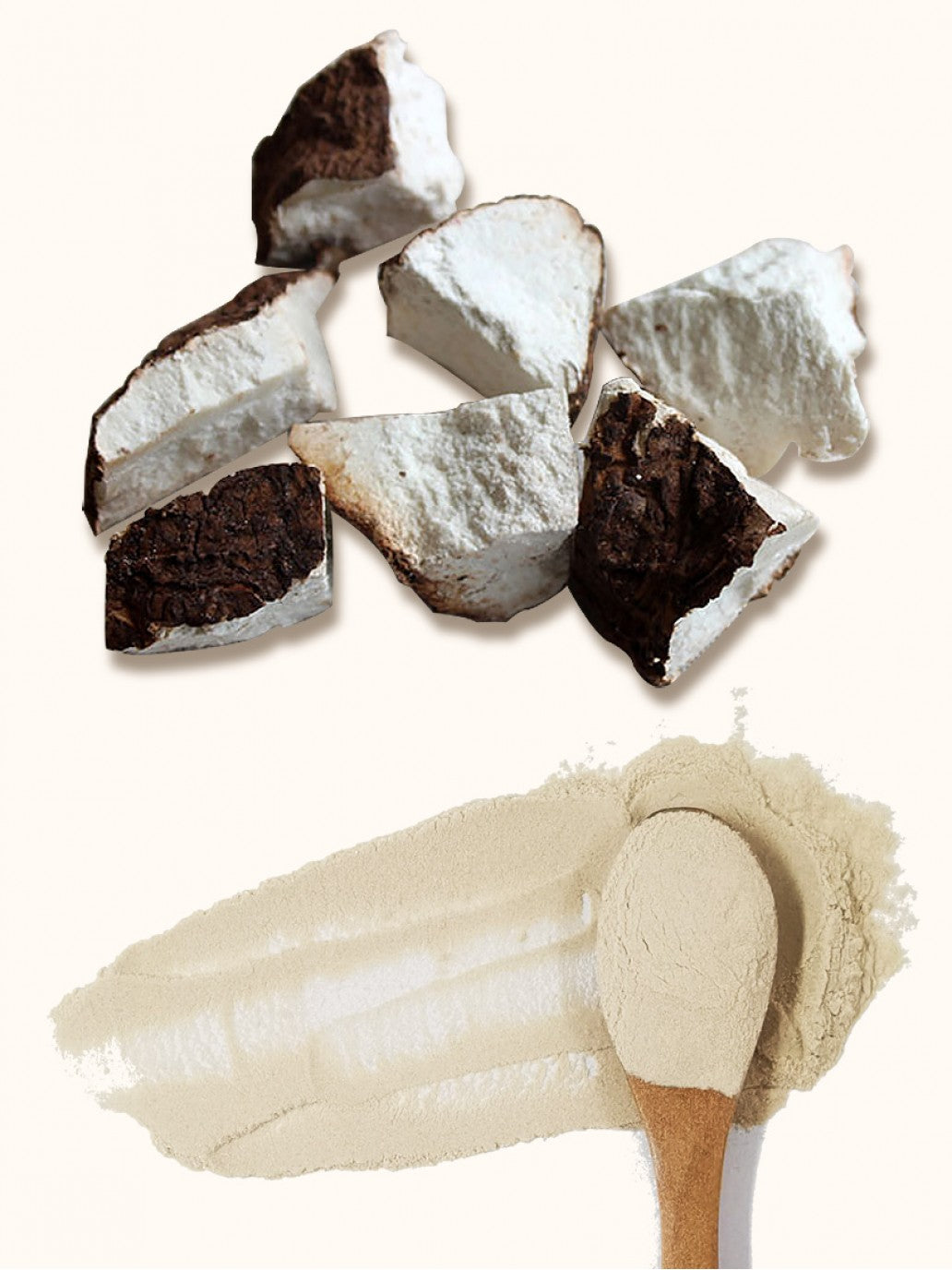 Organic Poria Cocos Extract 30% Beta Glucans