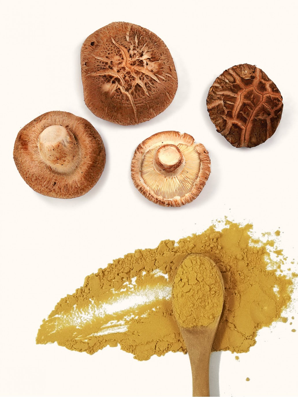 Organic Shiitake 30% Beta Glucans, Fruiting Body