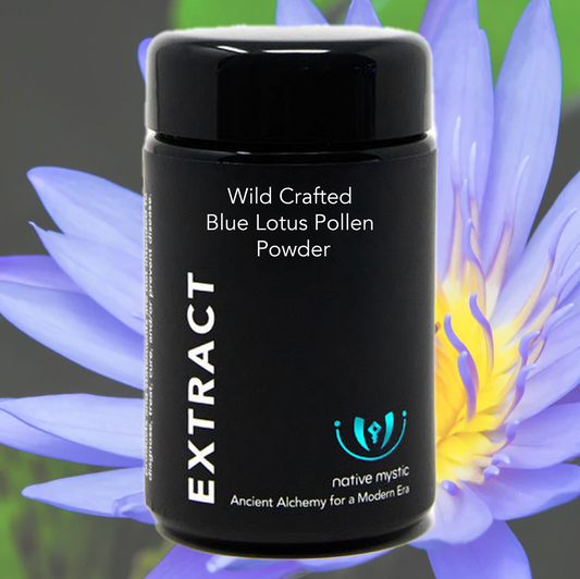 Wild Crafted Blue Lotus Pollen Powder