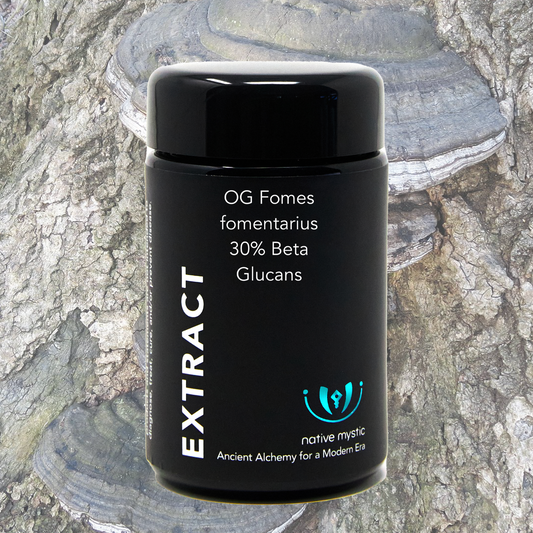 Organic Fomes Fomentarius 30% Beta Glucans, Fruiting Body