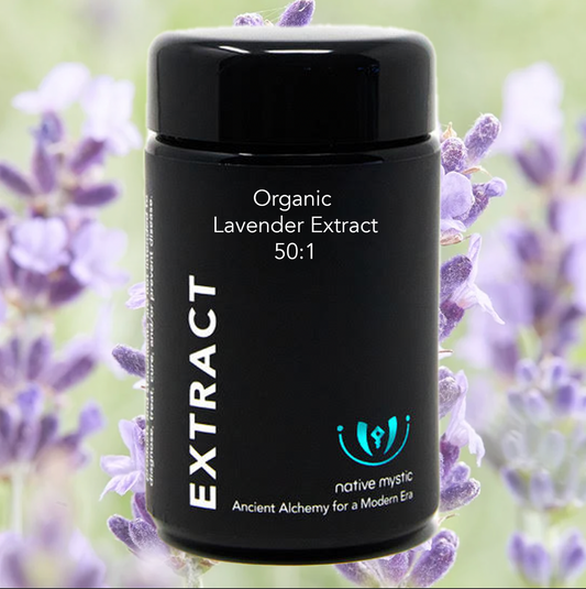 Organic Lavender Extract 10:1