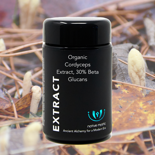 Organic Cordyceps 30% Beta Glucans, Fruiting Body