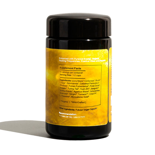 The LION'S MANE | Micro Dosed Balance