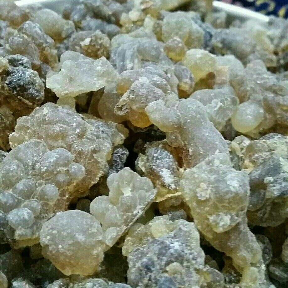 Frankincense Brown Hojary Resin