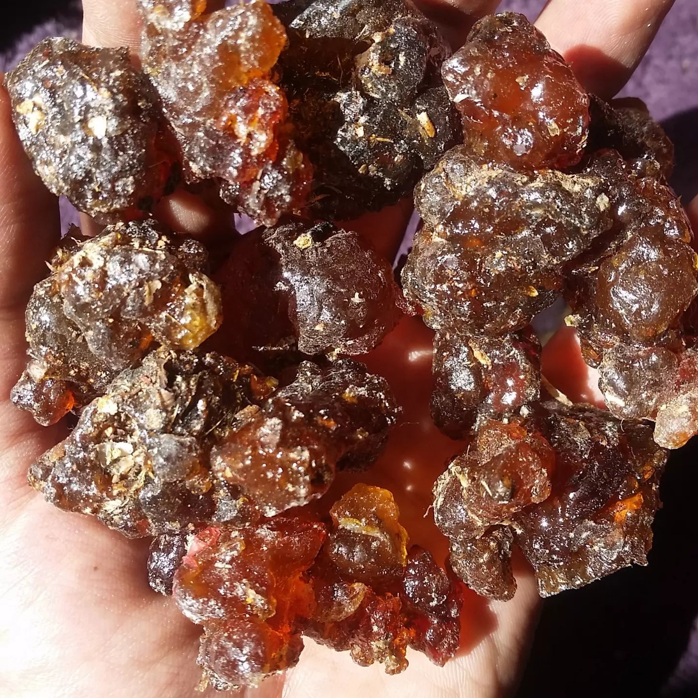 Wild Crafted Myrrh Resin- From Various Locations