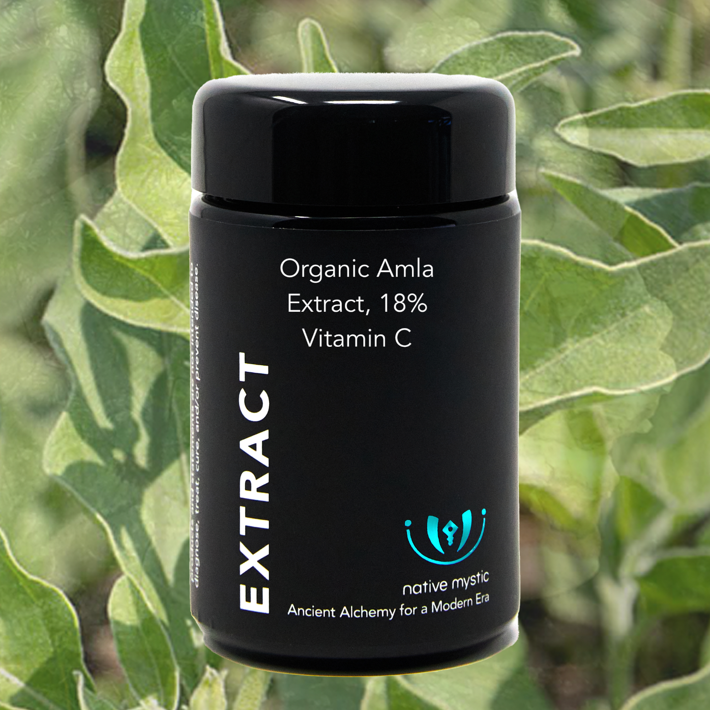 Organic Ashwagandha KSM-66 Extract (Vegan)