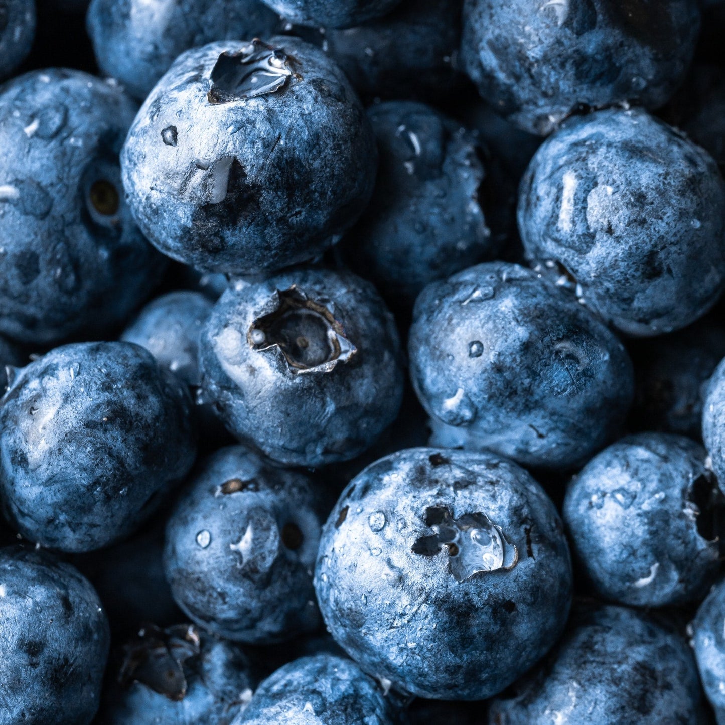 Organic Blueberry Extract 25%