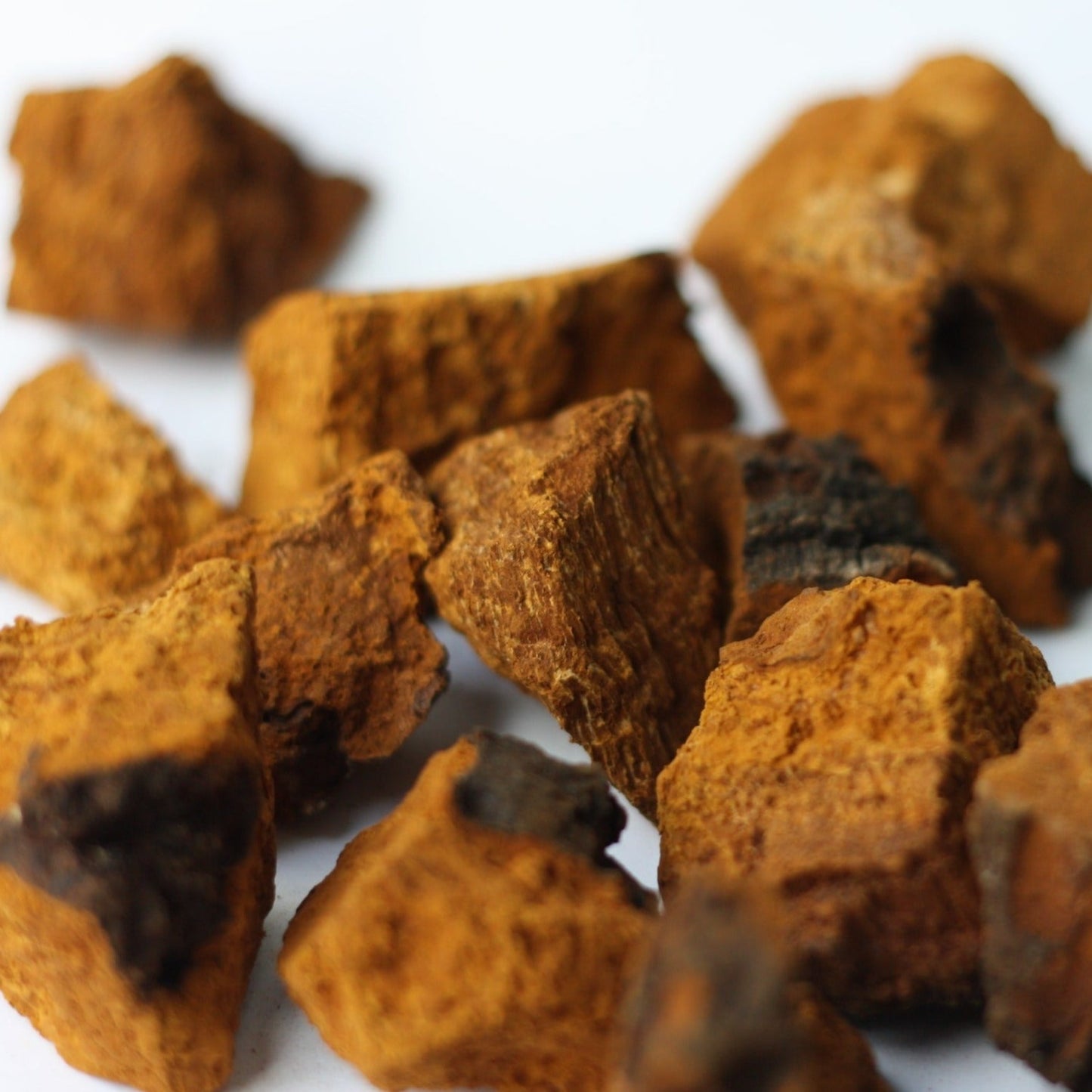 Wild Siberian Dried Chaga Pieces