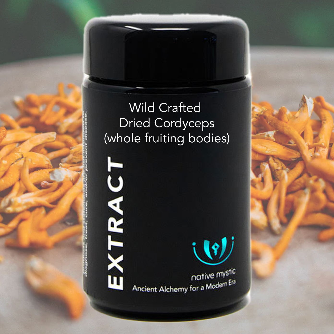 Wild Crafted Dried Cordyceps, Whole Fruiting Body