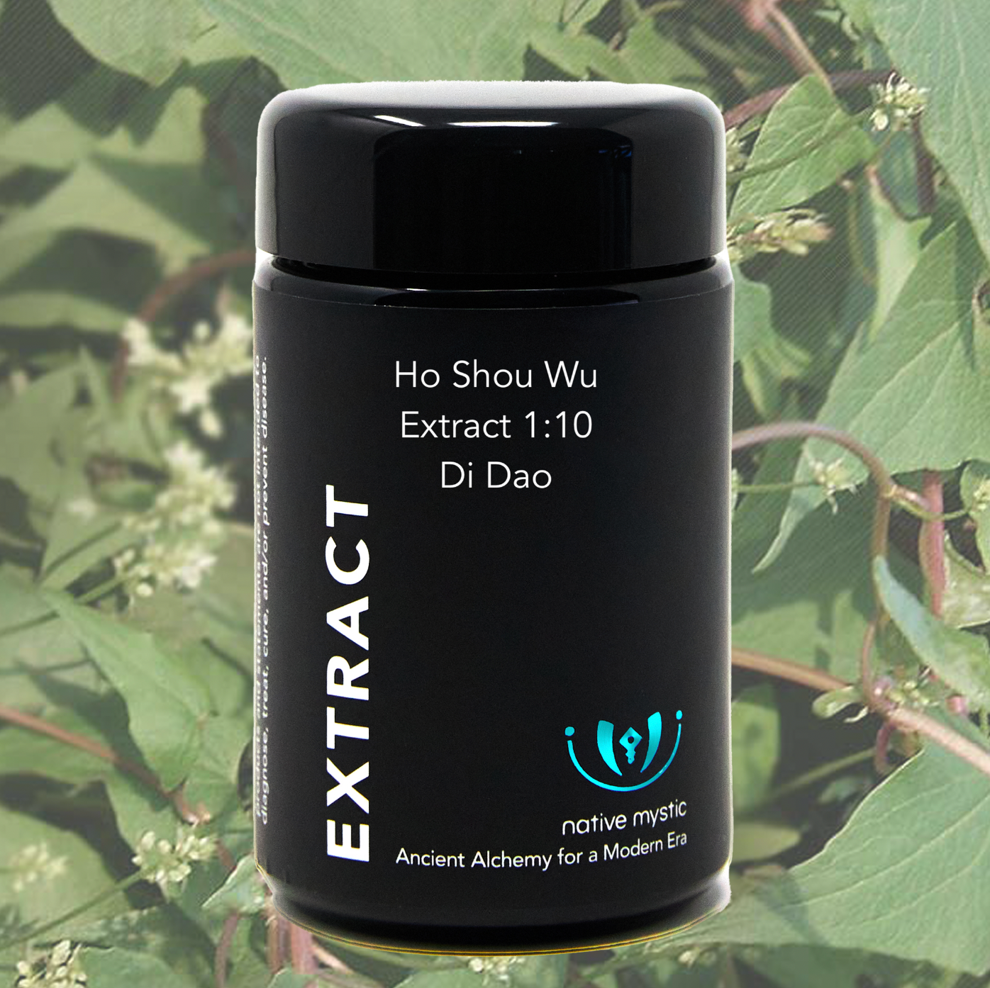 Ho Shou Wu Extract 10:1