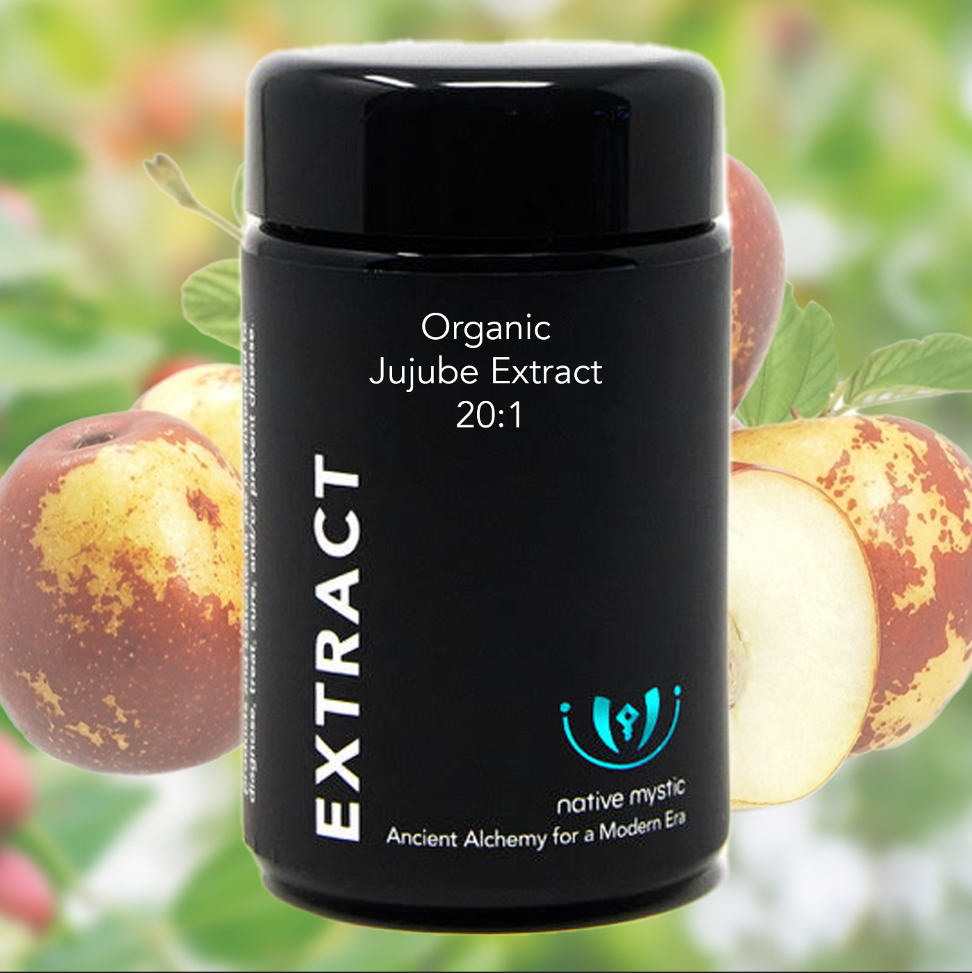 Organic Jujube Extract 20:1