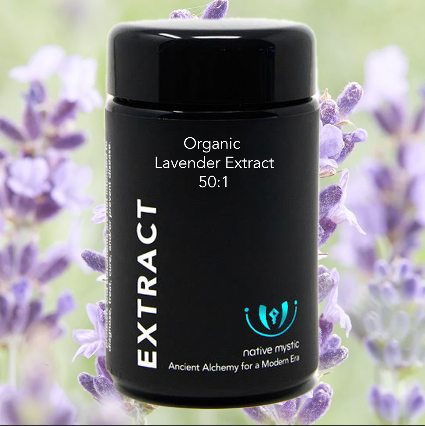 Organic Lavender Extract 50:1