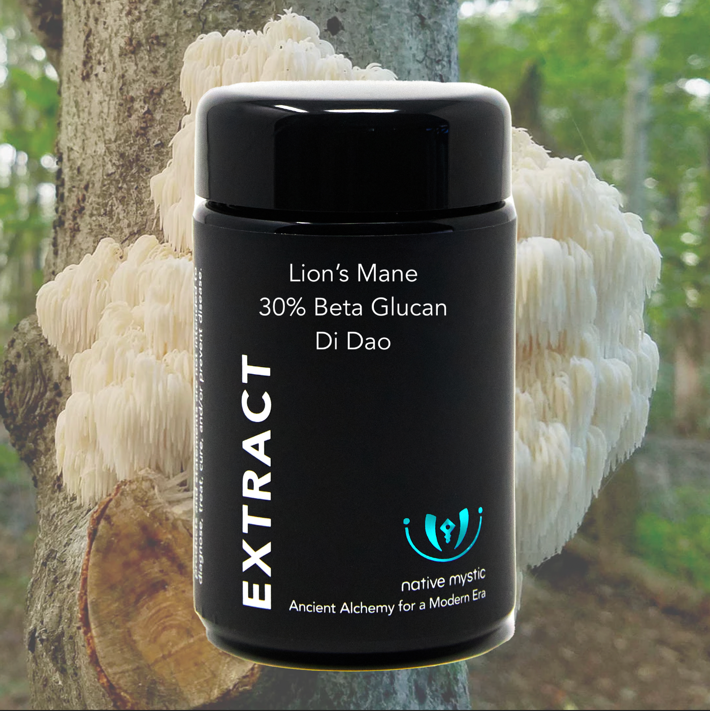 Organic Lion's Mane Mushroom 30% Beta Glucans, Fruiting Body