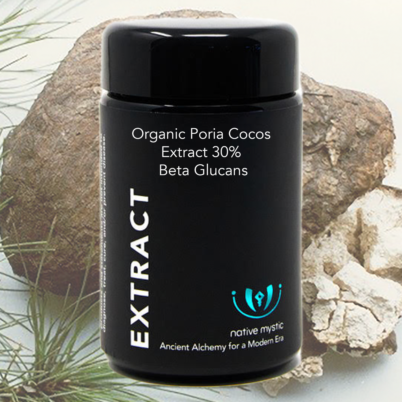 Organic Poria Cocos Extract 30% Beta Glucans