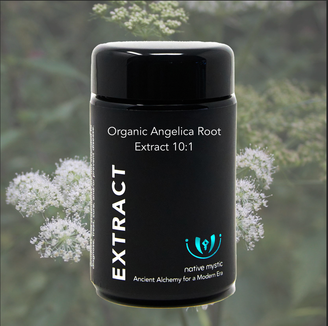 Organic Angelica Extract, 10:1