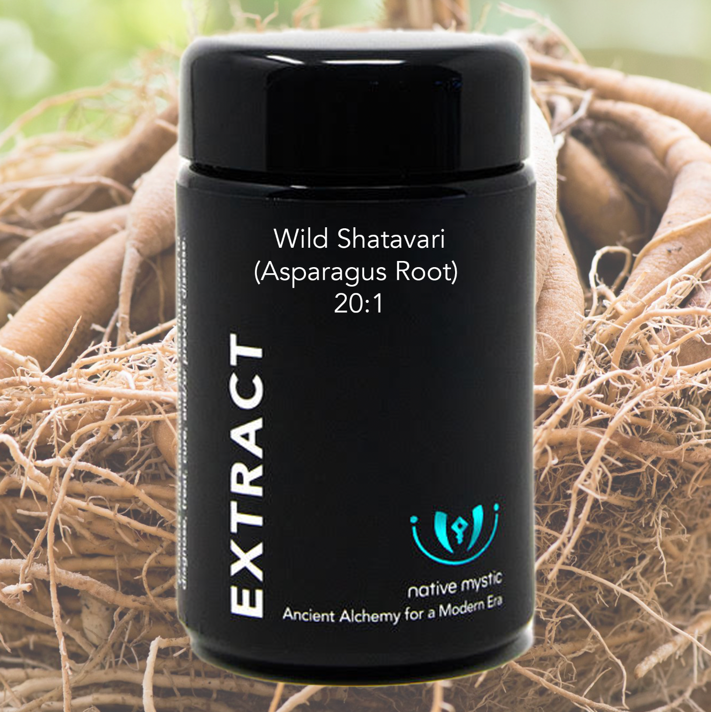 Wild Shatavari Asparagus Root Extract 20:1