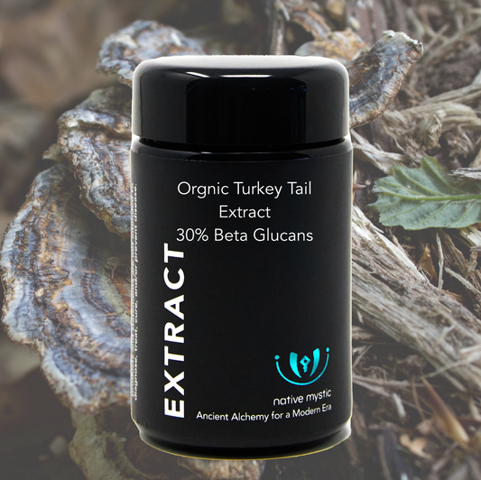 Organic Turkey Tail 30% Beta Glucans, Fruiting Body