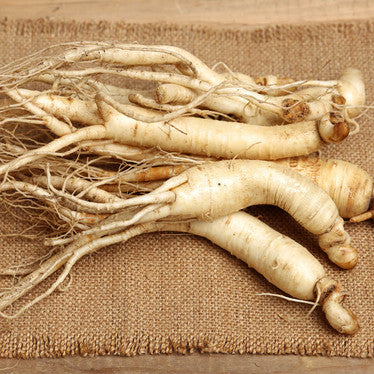 Wild Crafted Dried Siberian Ginseng